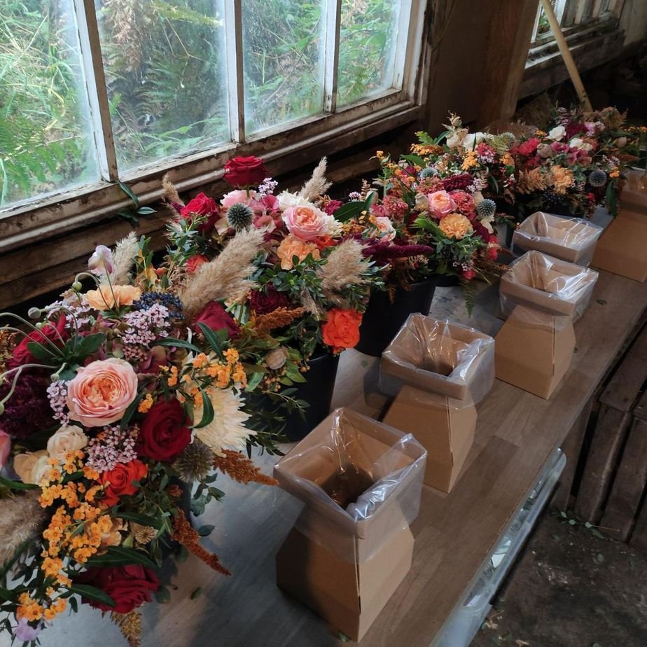 living vases with box liner (1)